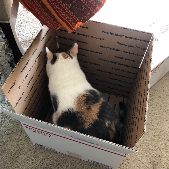 β’ meet the assistants β’ - Picture 6 of 15